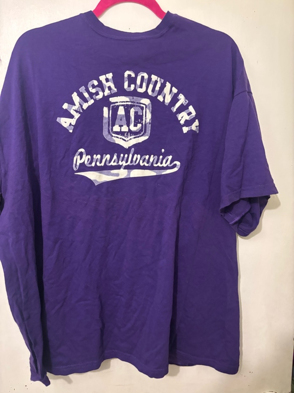Vintage Amish Country Pennsylvania Graphic Tee - Purple